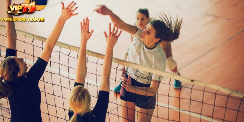 Cá Cược Beach Volleyball Grand Slam Tại Vip79: Cuộc Chiến Đỉnh Cao